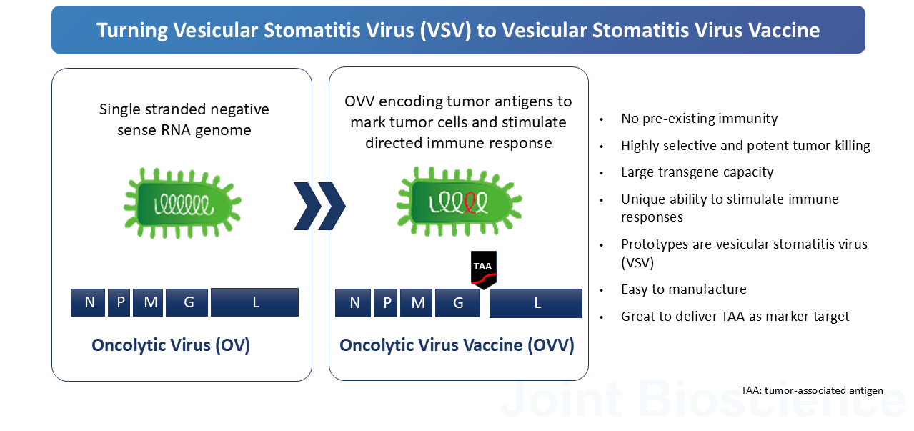 Joint Biosciences 2025-02-20-EN V7_1.png